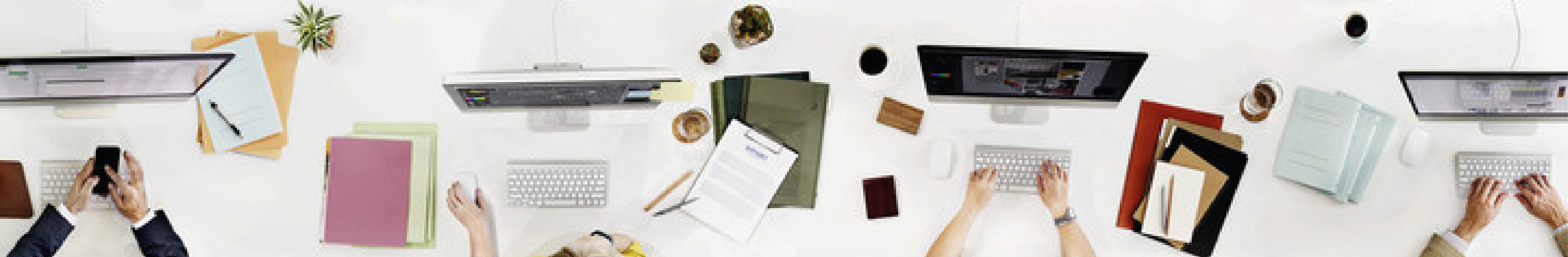 PageGraphiste_Plan de travail 1.jpg